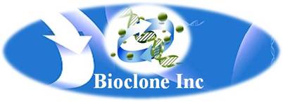 bioclone.us Blog
